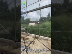 Progetto di serre durevoli a Mauritius