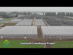 Progetto AX Greenhouse -- serra tropicale a denti di segatura