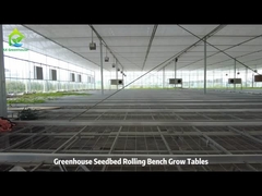 Tavola di coltivazione a rete di filo e banco a rotoli di galleggiamento a reflusso per serra