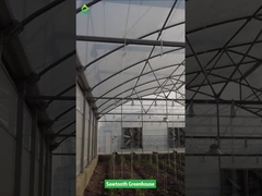 Serra a dente di segatura serra a pellicola di plastica tropicale