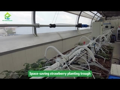Fioriera per piantare fragole