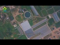 Grande base di piantagione di serre agricole