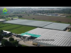 Serra di vetro completamente intelligente per la coltivazione di pomodori e peperoni