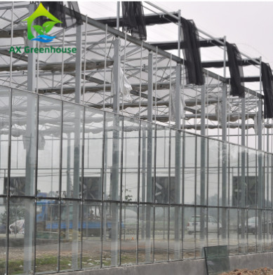 L'annuncio pubblicitario ha temperato il tipo di vetro serra Multispan di Venlo per agricolo