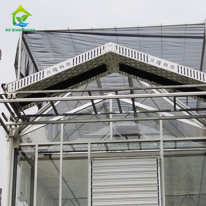 9.6m/10.8m/12m Larghezza Cornice in lega di alluminio Vetro agricolo Venlo Serra multi-span Con triangolo taglio stampaggio