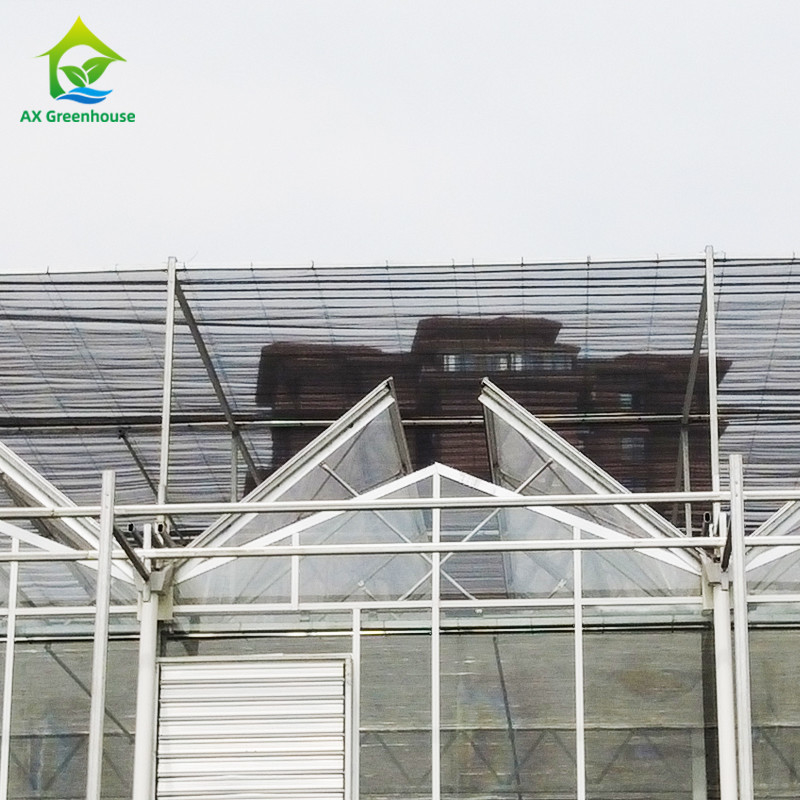 9.6m/10.8m/12m Larghezza Cornice in lega di alluminio Vetro agricolo Venlo Serra multi-span Con triangolo taglio stampaggio