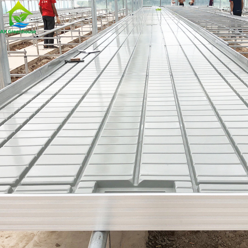Ebb Flow Hydroponic Mobile Hydroponic Soilless Culture Grow Tables Rolling Bench per la semina