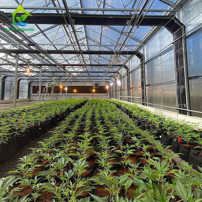 Serra 100% del tunnel di privazione del film 220V del PE alta di blackout leggero automatico della serra per la piantatura del Mariguana