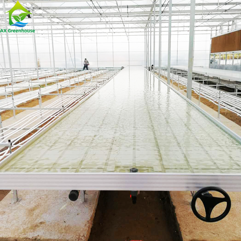 Ebb Flow Hydroponic Mobile Hydroponic Soilless Culture Grow Tables Rolling Bench per la semina