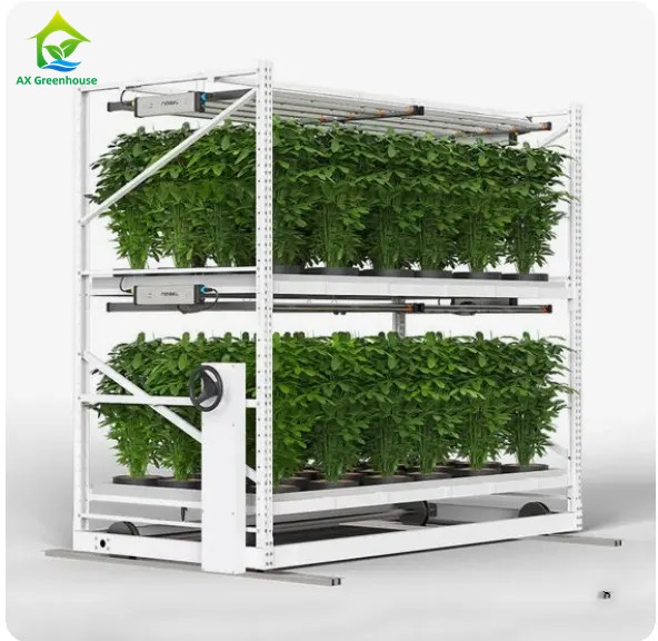 Rack per la coltivazione di erbe medicinali vegetali a doppio strato per agricoltura verticale