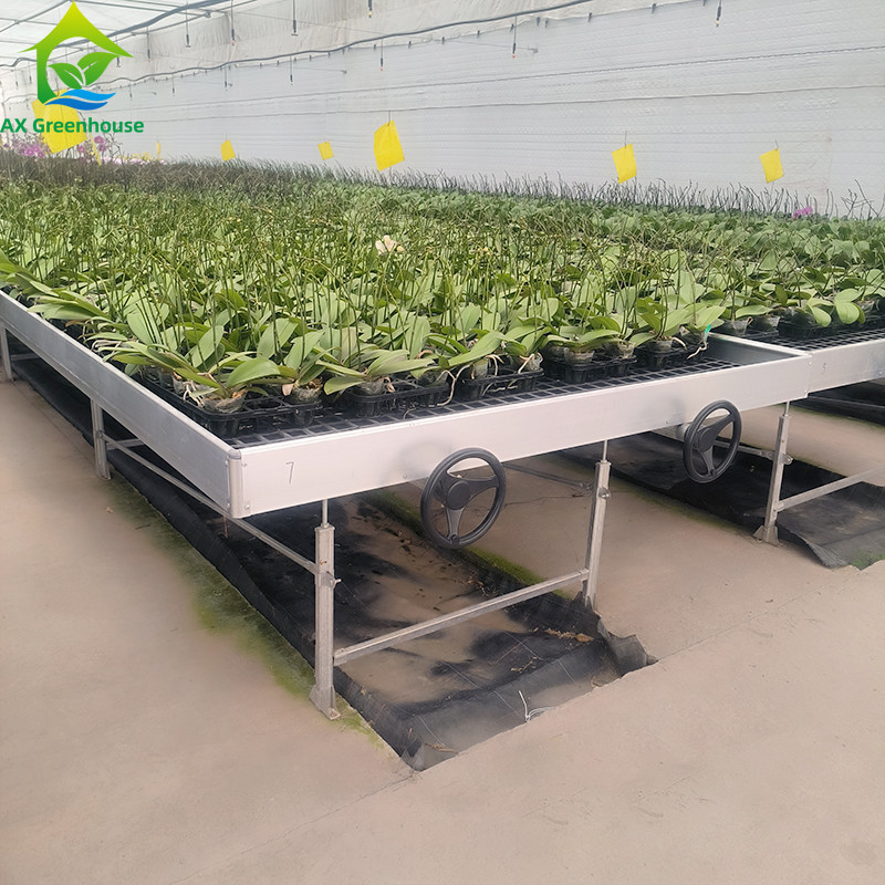 Ebb And Flood Hydroponic Movable Table Rolling Bench per la coltivazione di piante in serra