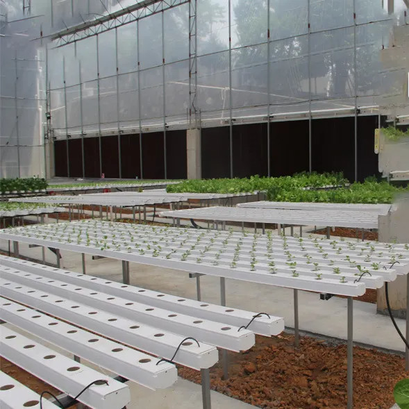 Agricoltura in ambienti chiusi senza suolo Coltivazione di fragole Tubo in PVC per la coltivazione idroponica Sistema NFT in vendita