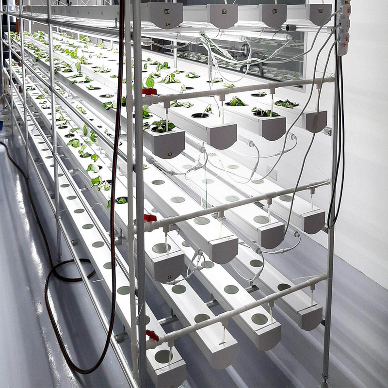 Agricoltura in ambienti chiusi senza suolo Coltivazione di fragole Tubo in PVC per la coltivazione idroponica Sistema NFT in vendita