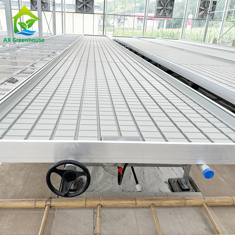 Ebb And Flood Hydroponic Movable Table Rolling Bench per la coltivazione di piante in serra