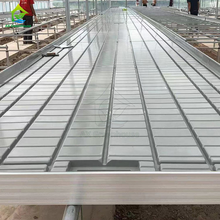 Ebb And Flood Hydroponic Movable Table Rolling Bench per la coltivazione di piante in serra