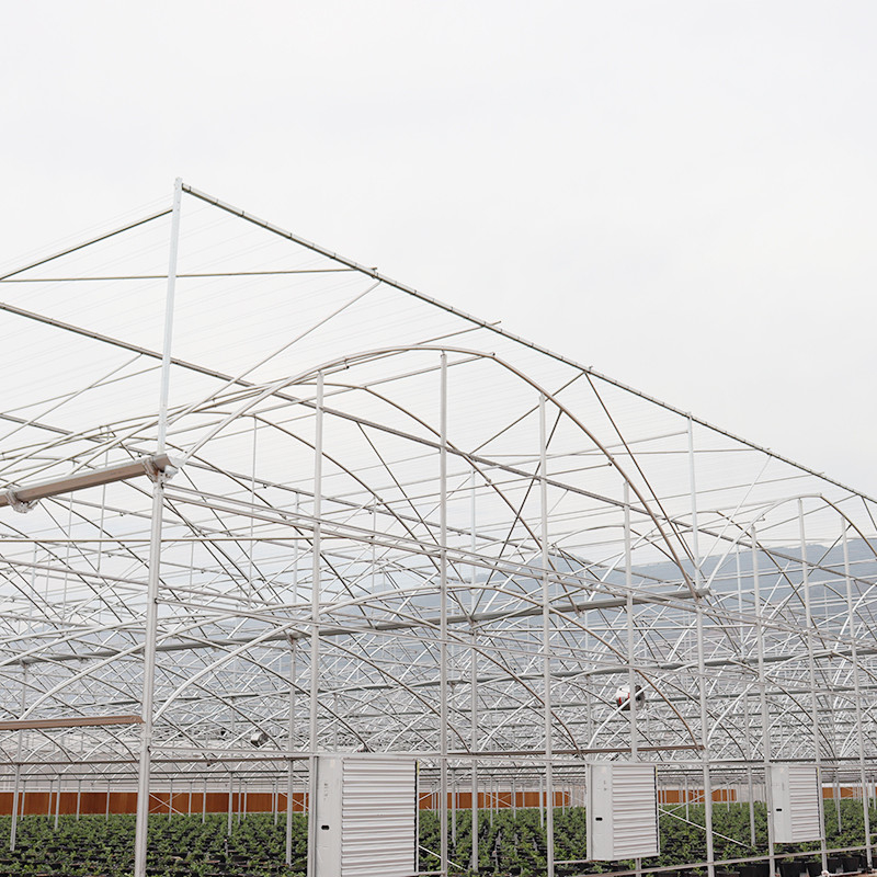 Struttura in acciaio galvanizzato a caldo con pellicola di plastica multi-span
