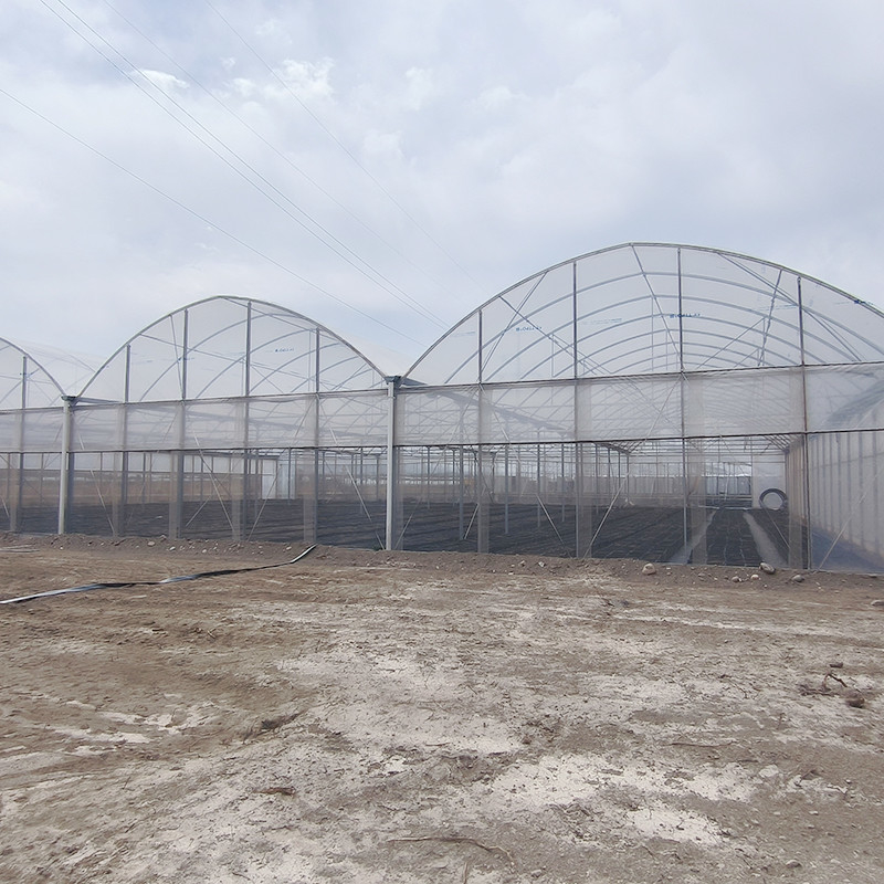 Struttura in acciaio galvanizzato a caldo con pellicola di plastica multi-span