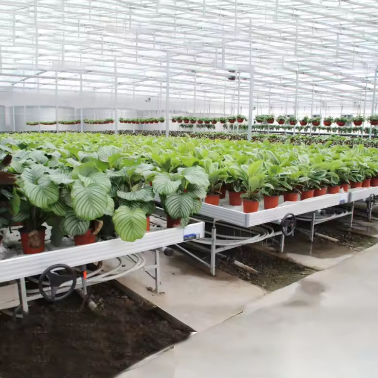 Serra Indoor Hydroponic Ebb And Flood Rolling Benches Coltivare semi Tavola per la semina