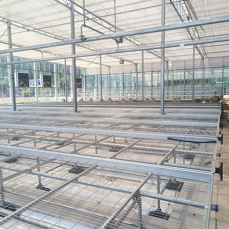 Tavolo da coltivazione a rulli per serra personalizzato con vantaggio di facile costruzione e struttura in acciaio zincato a caldo