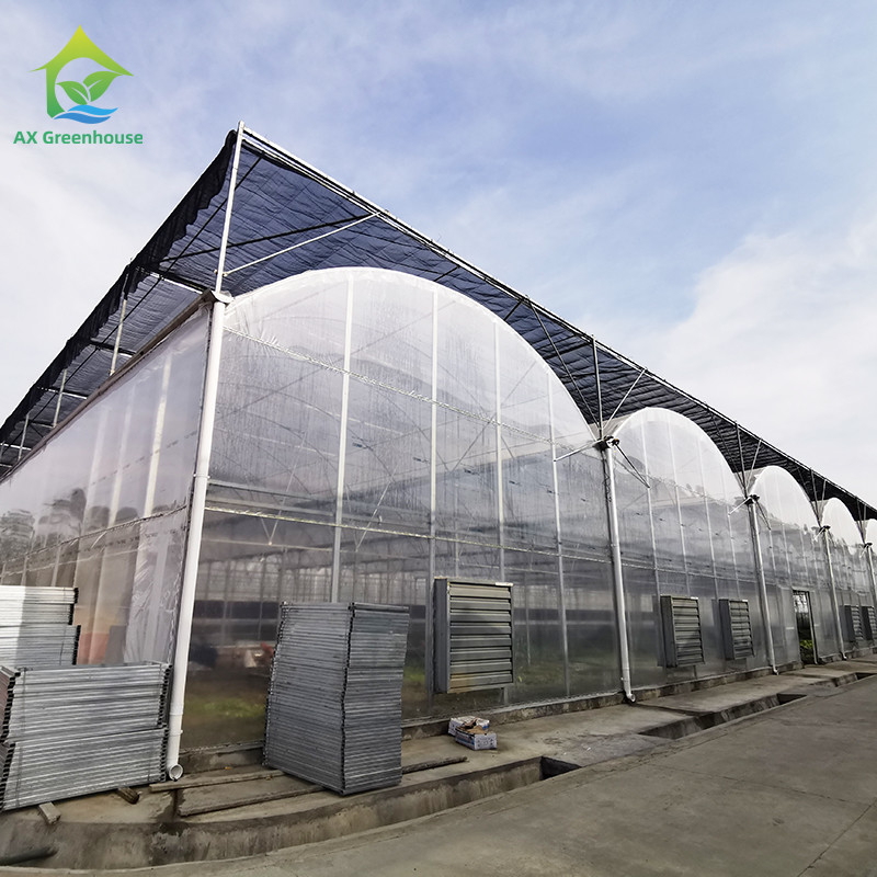 Serra a pellicola di plastica resistente ai raggi UV di 30x10m per pomodori e verdure con rivestimento a pellicola