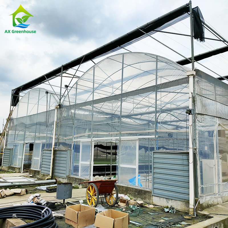 Serra a pellicola di plastica resistente ai raggi UV di 30x10m per pomodori e verdure con rivestimento a pellicola