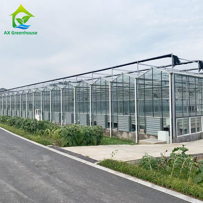 9.6m/10.8m/12m Larghezza Cornice in lega di alluminio Vetro agricolo Venlo Serra multi-span Con triangolo taglio stampaggio
