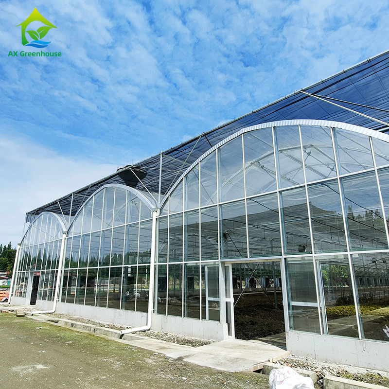Modellazione triangolare del tetto commerciale multi-span grande galleria di vetro casa di fiori in crescita serra gotica
