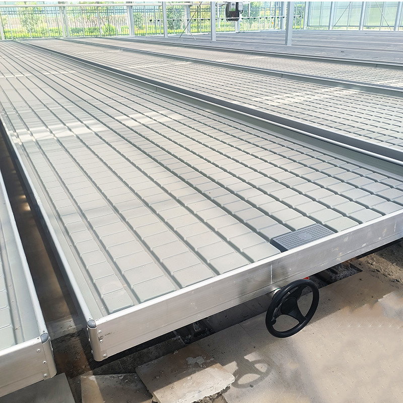 Serra Indoor Hydroponic Ebb And Flood Rolling Benches Coltivare semi Tavola per la semina