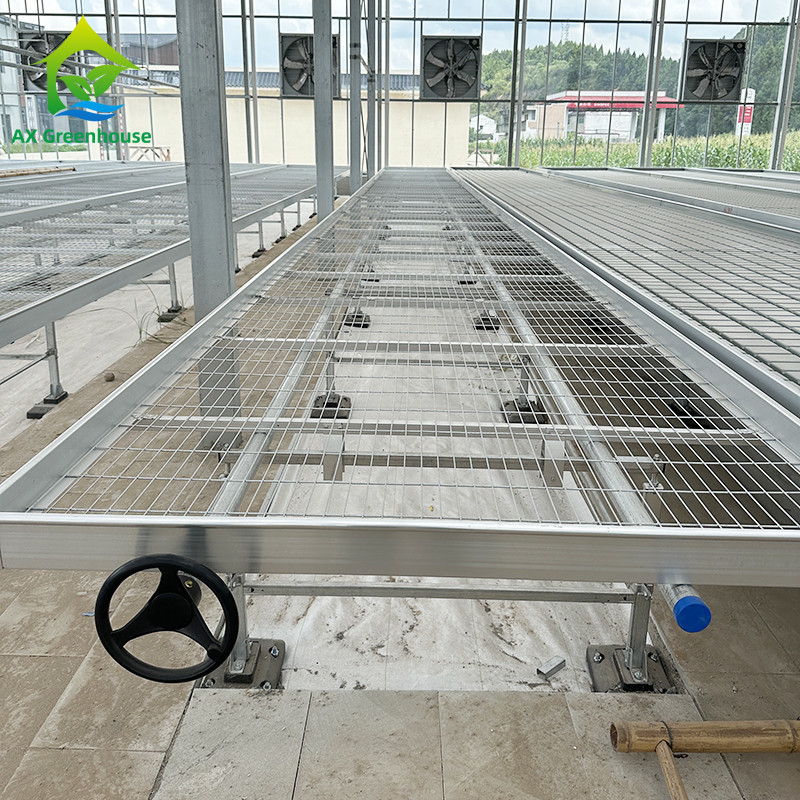 Serra Indoor Hydroponic Ebb And Flood Rolling Benches Coltivare semi Tavola per la semina
