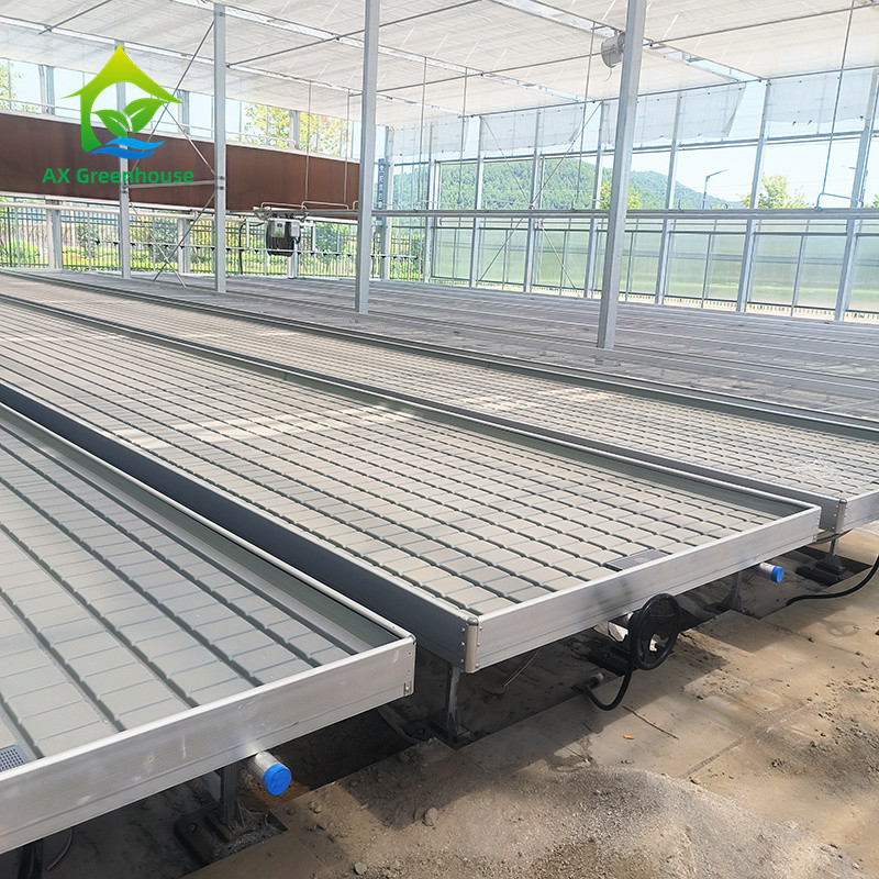 Serra Indoor Hydroponic Ebb And Flood Rolling Benches Coltivare semi Tavola per la semina