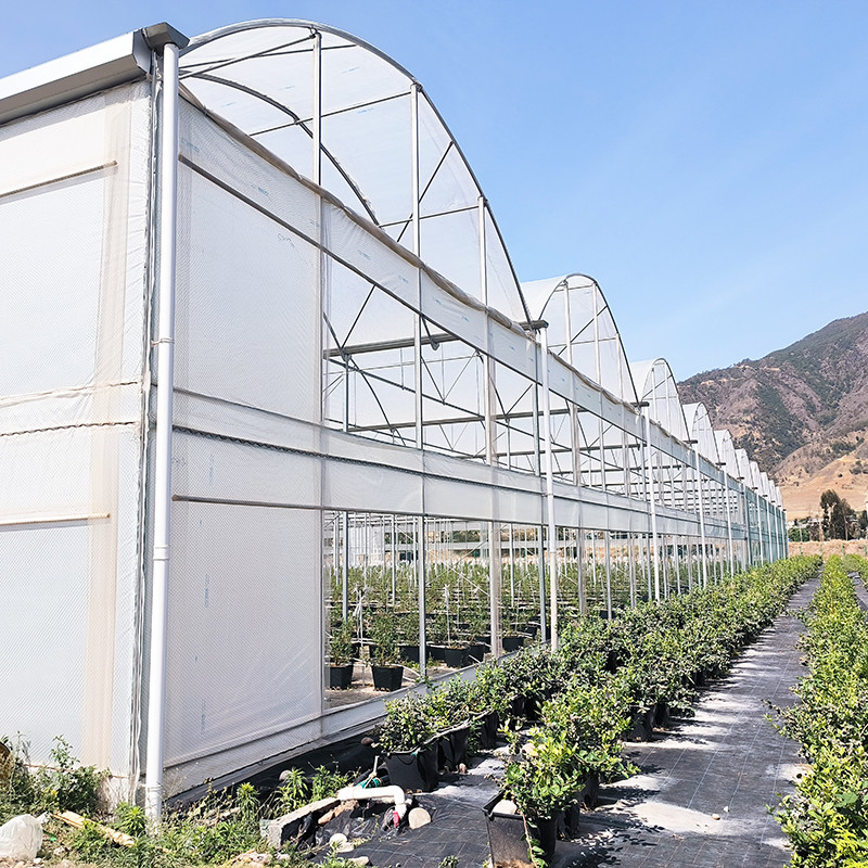 Serra a pellicola di plastica resistente ai raggi UV di 30x10m per pomodori e verdure con rivestimento a pellicola