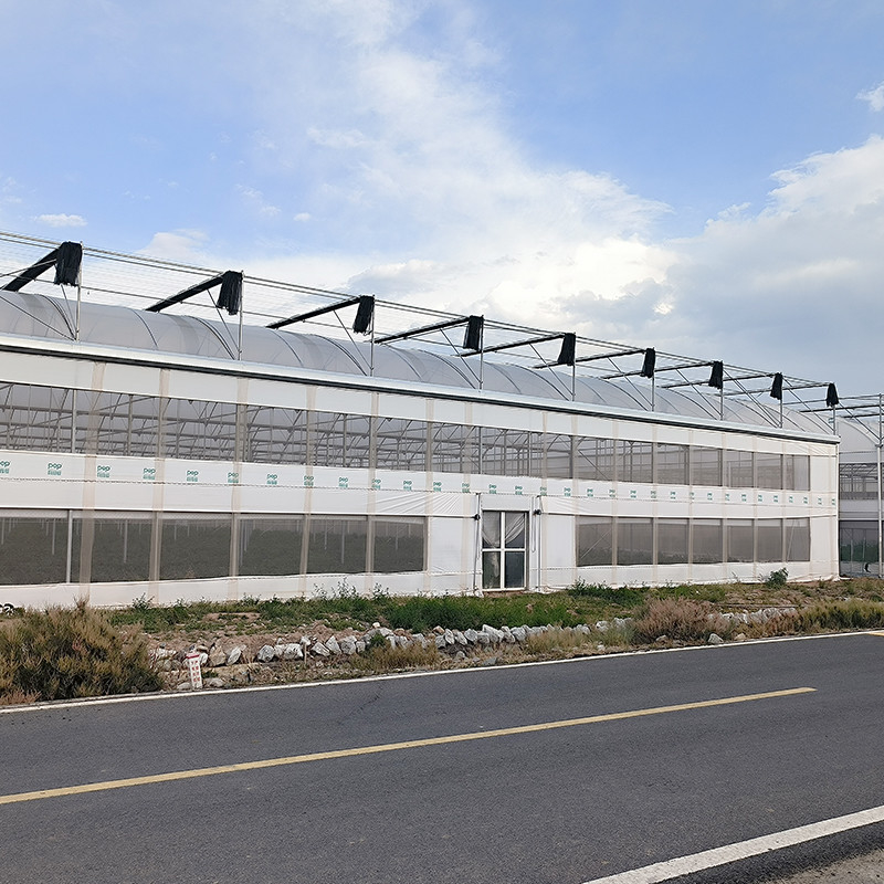 Struttura in acciaio Agricoltura Poli-Tunnel Ombra nera Serra multi-span con sistema di raffreddamento opzionale