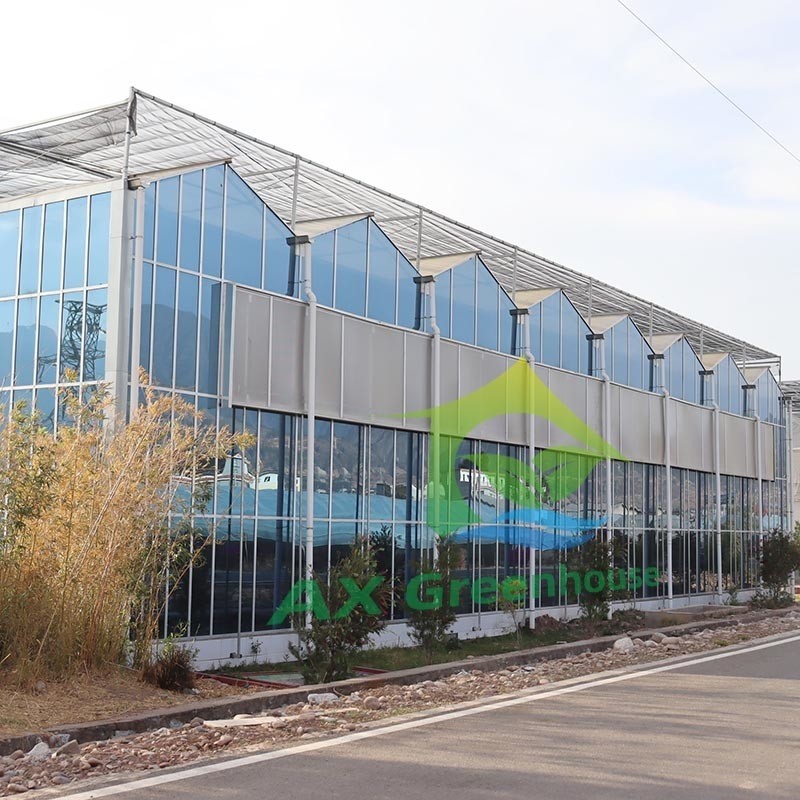 Vetro agricolo di tipo Venlo pannelli temperati in serra telaio in acciaio galvanizzato per la coltivazione di cetrioli