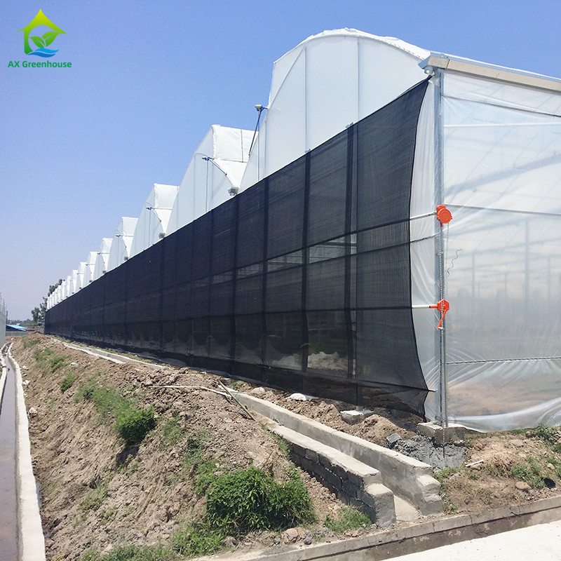 Struttura in acciaio Agricoltura Poli-Tunnel Ombra nera Serra multi-span con sistema di raffreddamento opzionale