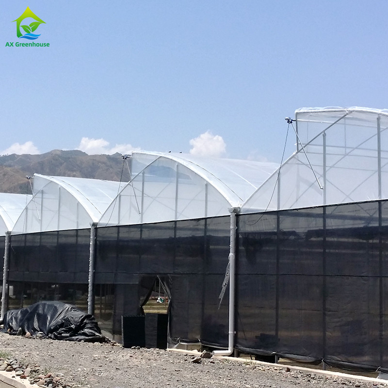 Struttura in acciaio Agricoltura Poli-Tunnel Ombra nera Serra multi-span con sistema di raffreddamento opzionale