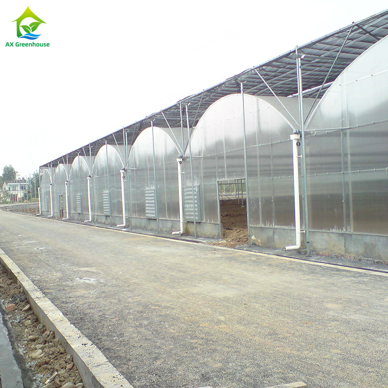 Struttura in acciaio Pellicola resistente ai raggi UV Tuneo poli-multi-span Serra per pomodori