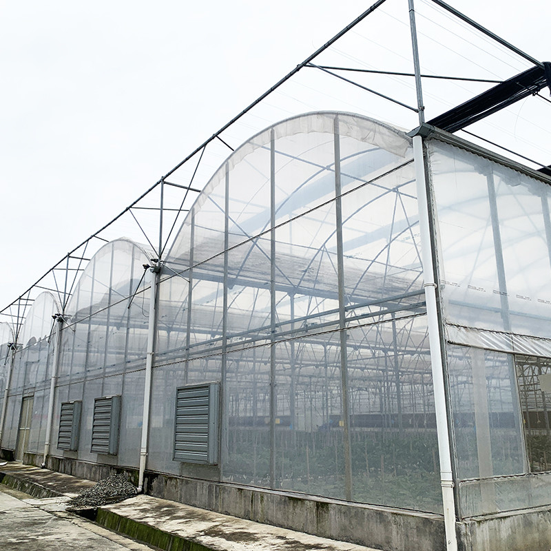Struttura in acciaio Pellicola resistente ai raggi UV Tuneo poli-multi-span Serra per pomodori