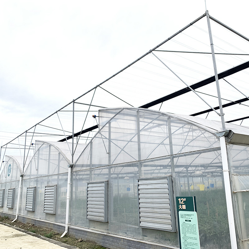 Struttura in acciaio Testa segata Polifilm a tunnel basso Serra agricola multi-span per la produzione vegetale sostenibile