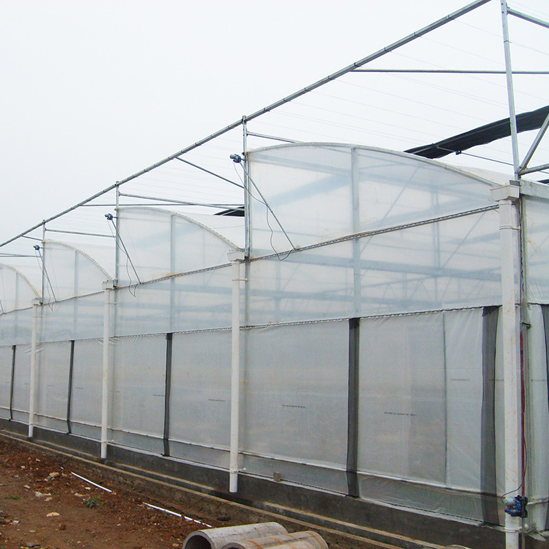Struttura in acciaio Testa segata Polifilm a tunnel basso Serra agricola multi-span per la produzione vegetale sostenibile
