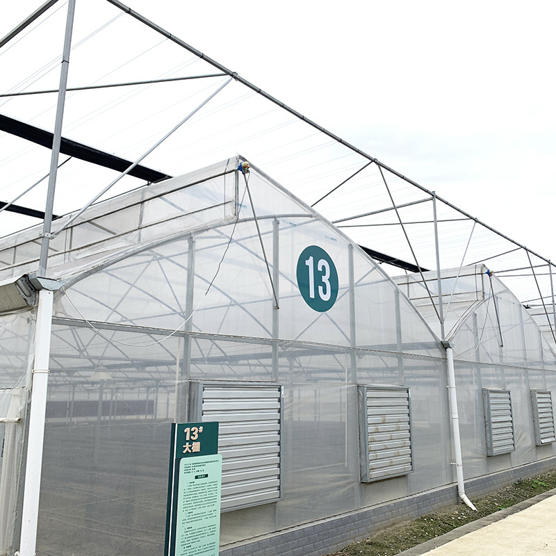 Struttura in acciaio Testa segata Polifilm a tunnel basso Serra agricola multi-span per la produzione vegetale sostenibile