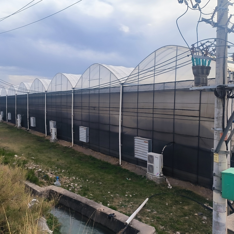 Struttura in acciaio Agricoltura Poli-Tunnel Ombra nera Serra multi-span con sistema di raffreddamento opzionale