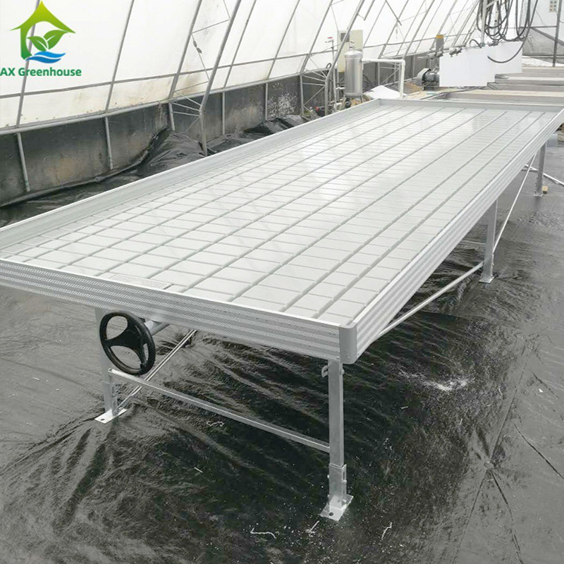 Ebb Flow Custom Double Layers Flood Grow Table Seedbed Rolling Bench Mobile e adatto per i fiori