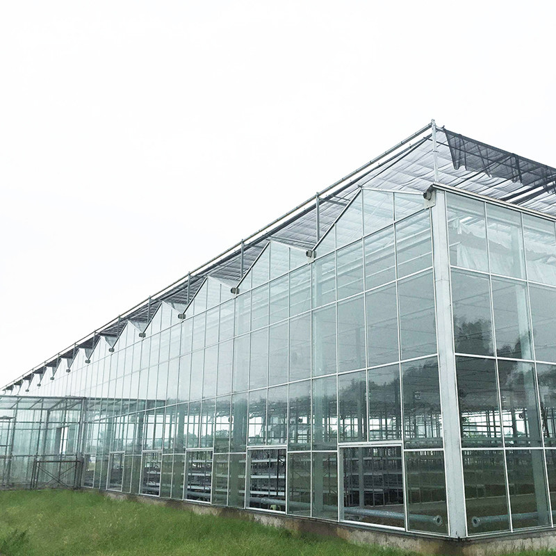9.6m/10.8m/12m Larghezza Cornice in lega di alluminio Vetro agricolo Venlo Serra multi-span Con triangolo taglio stampaggio
