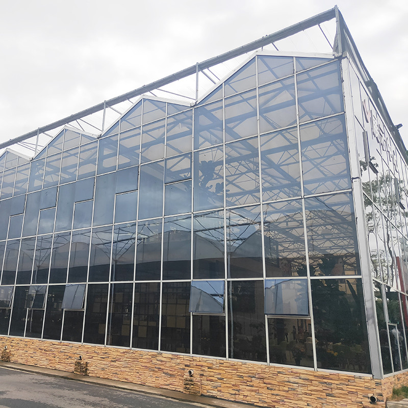 Serra di pomodori in vetro temperato a caldo in acciaio galvanizzato multi-span Venlo per condizioni di crescita ottimali