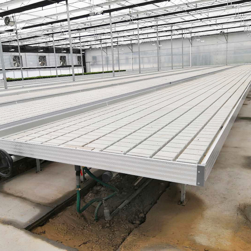 Ebb and Flow 4FT*8FT Verticale Hydroponic Mobile Rolling Bench Grow Table Con Polo