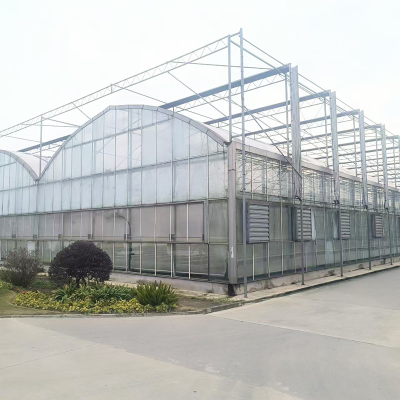 Modellazione triangolare del tetto commerciale multi-span grande galleria di vetro casa di fiori in crescita serra gotica