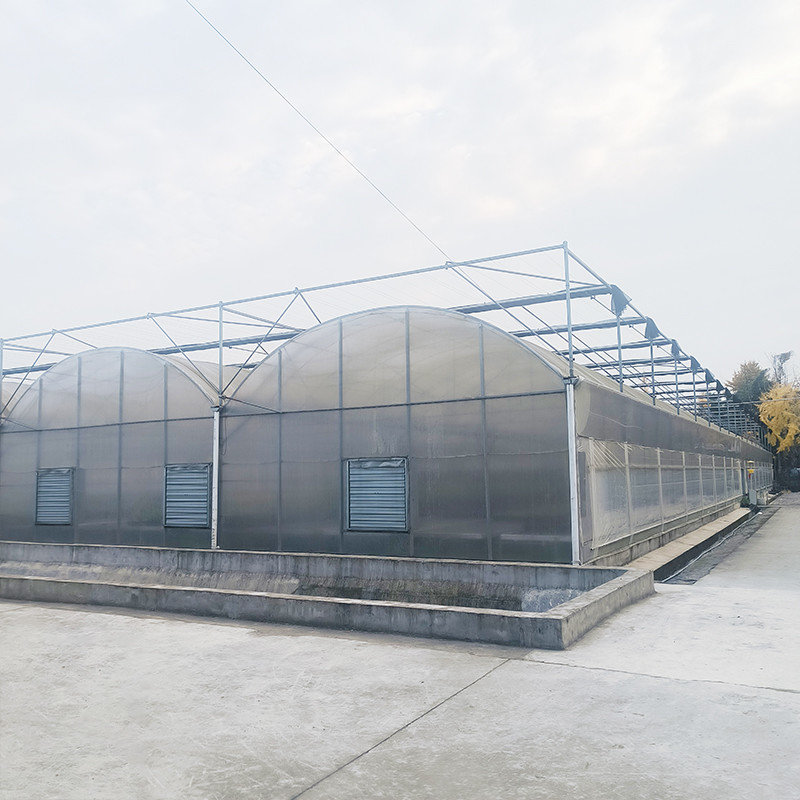Modellazione triangolare del tetto commerciale multi-span grande galleria di vetro casa di fiori in crescita serra gotica