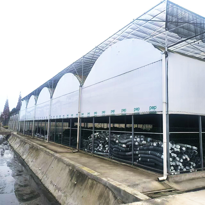 Tubo di acciaio galvanizzato a caldo sistema di spegnimento della pellicola Panda multi-span Funghi serra tropicale