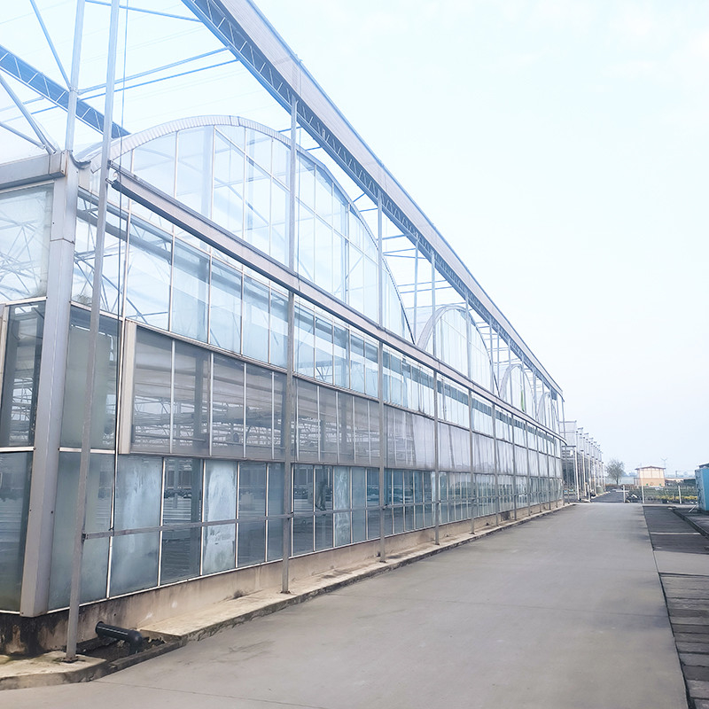 Casa di vetro temperato di lusso industriale agricolo Venlo Serra erbacea con struttura stabile e sistema di riscaldamento