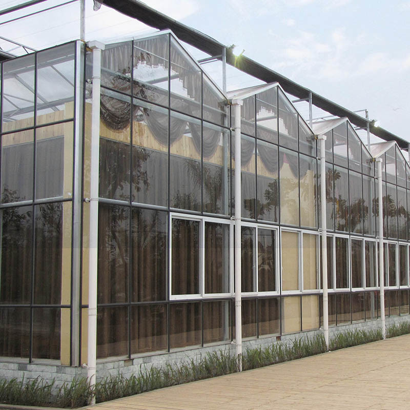 Serra di pomodori in vetro temperato a caldo in acciaio galvanizzato multi-span Venlo per condizioni di crescita ottimali
